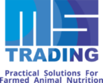 MS Trading Logo